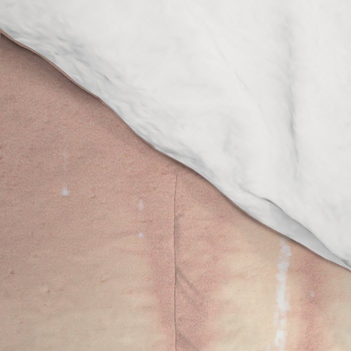 Scenes from Marfa II x Pink Cactus Art Comforter Gallery Image 4