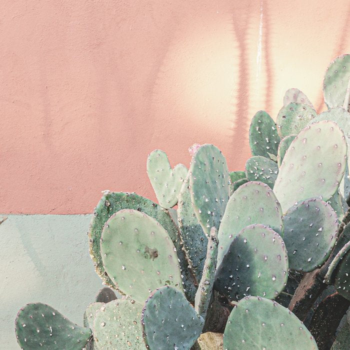 Scenes from Marfa II x Pink Cactus Art Coffee Mug Gallery Image 2