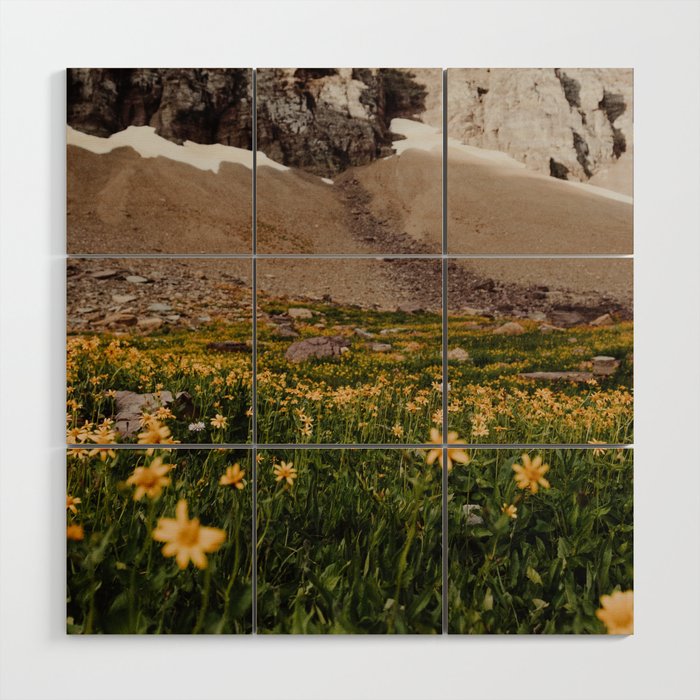 Glacier Wild Flowers Wood Wall Art Gallery Image 1