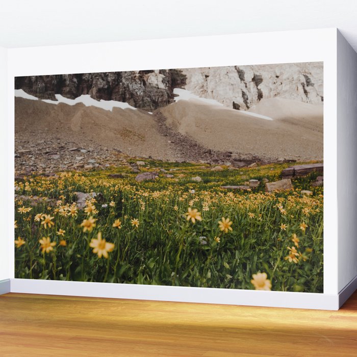 Glacier Wild Flowers Wall Mural Gallery Image 2