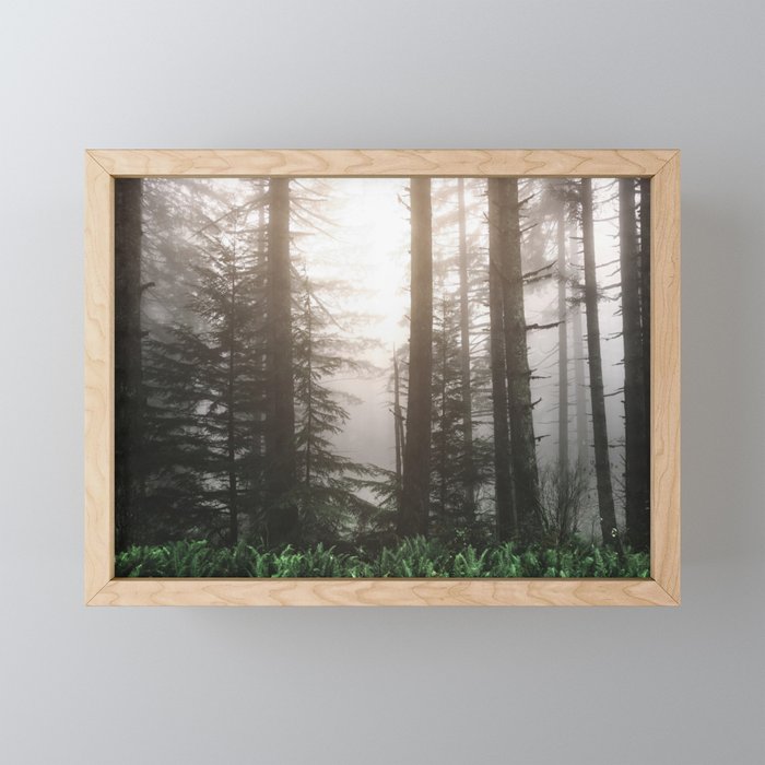 Pacific Northwest Forest Fog Adventures Mini Art Print Gallery Image 1