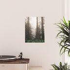 Pacific Northwest Forest Fog Adventures Poster Gallery Image 2