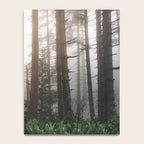 Pacific Northwest Forest Fog Adventures Notebook Gallery Image 4