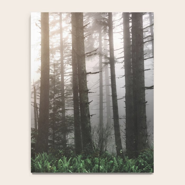 Pacific Northwest Forest Fog Adventures Notebook Gallery Image 4