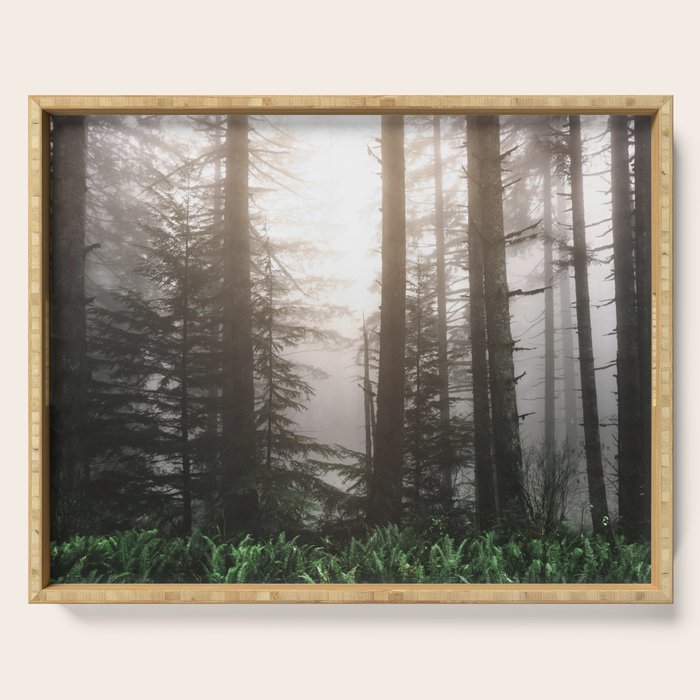 Pacific Northwest Forest Fog Adventures Serving Tray Gallery Image 1