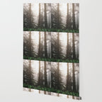 Pacific Northwest Forest Fog Adventures Wallpaper Gallery Image 2