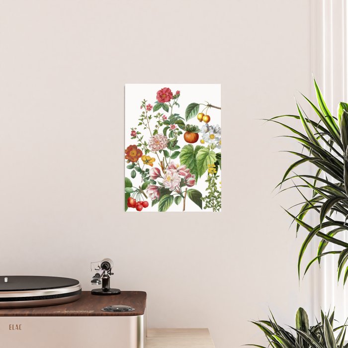 Persimmon Botanical Bloom Poster Gallery Image 2