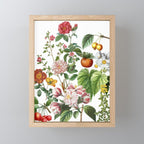 Persimmon Botanical Bloom Mini Art Print Gallery Image 1