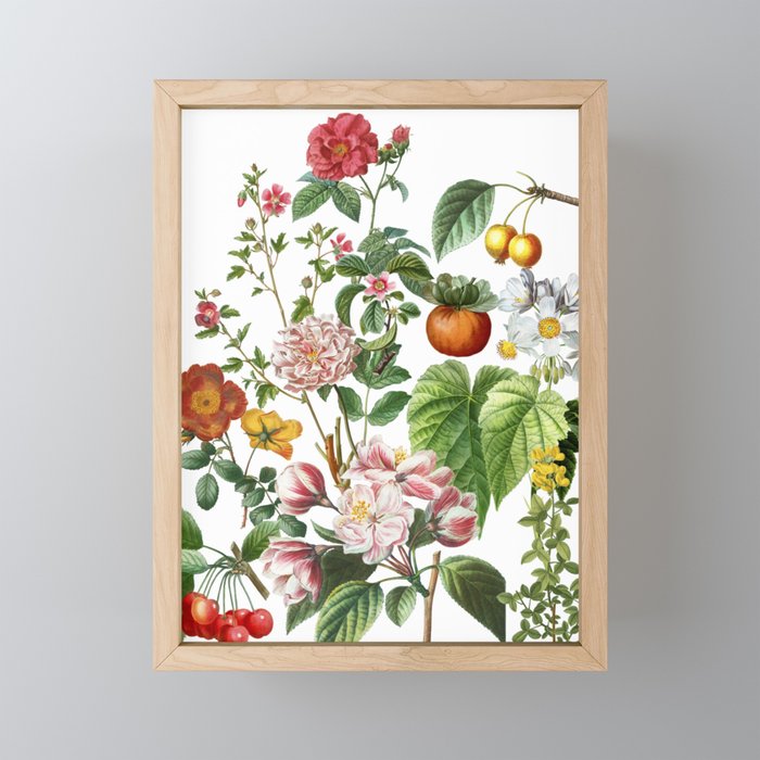 Persimmon Botanical Bloom Mini Art Print Gallery Image 1