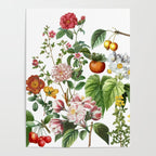 Persimmon Botanical Bloom Poster Gallery Image 4