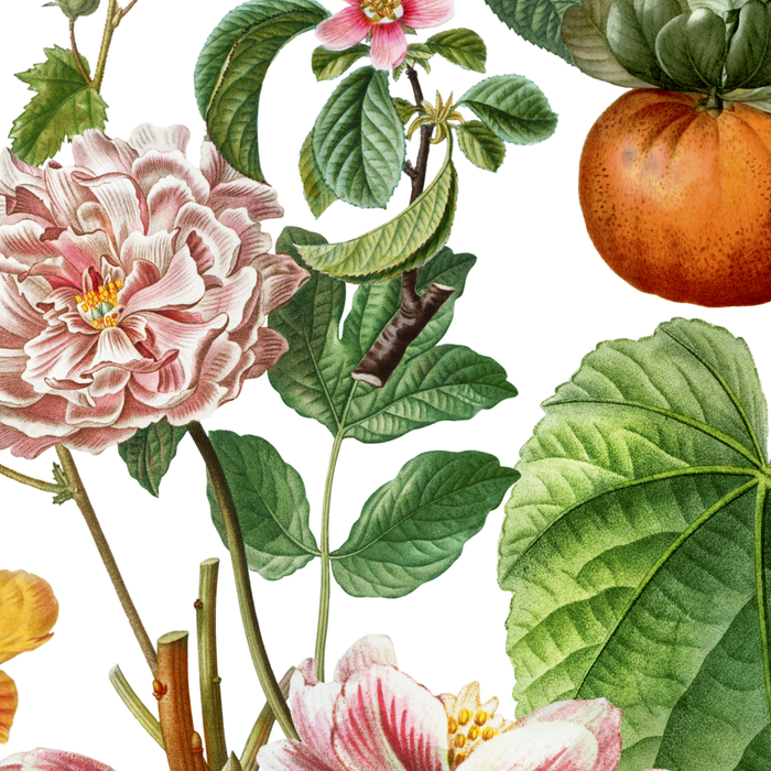 Persimmon Botanical Bloom Coffee Mug Gallery Image 2