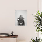 Buffalo - Black & White Poster Gallery Image 2