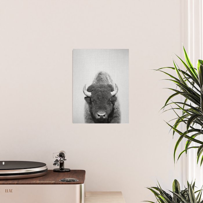 Buffalo - Black & White Poster Gallery Image 2