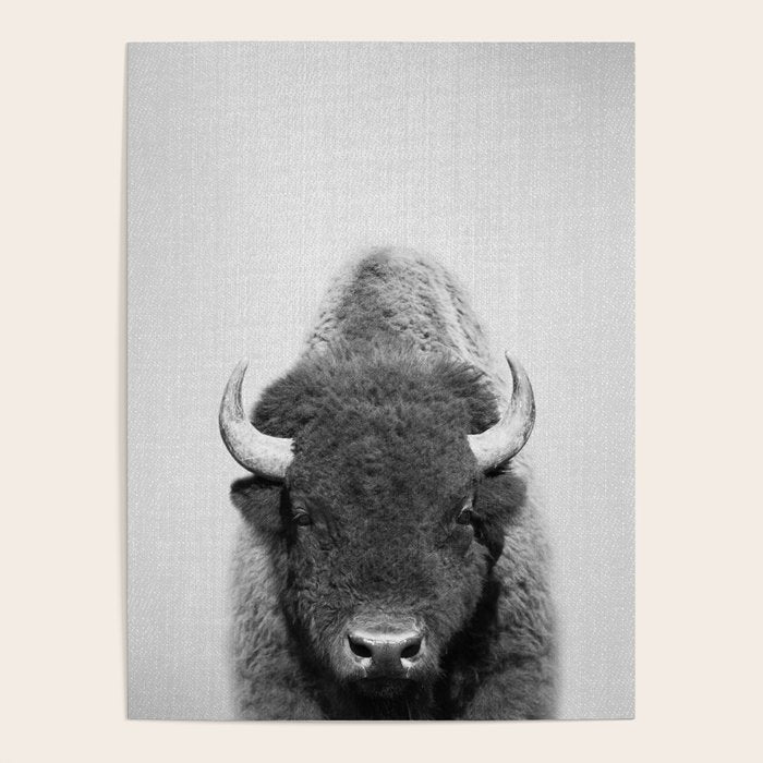 Buffalo - Black & White Poster Gallery Image 4
