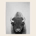 Buffalo - Black & White Poster Gallery Image 4