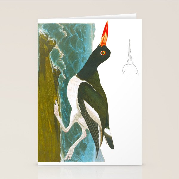 Pied oyster-catcher Bird Stationery Card Gallery Image 1