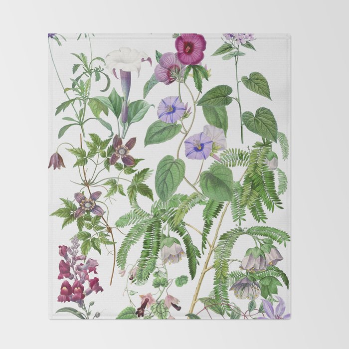 Marvelling In Mauve Botanical Illustration Throw Blanket Gallery Image 2