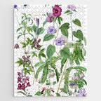 Marvelling In Mauve Botanical Illustration Jigsaw Puzzle Gallery Image 1