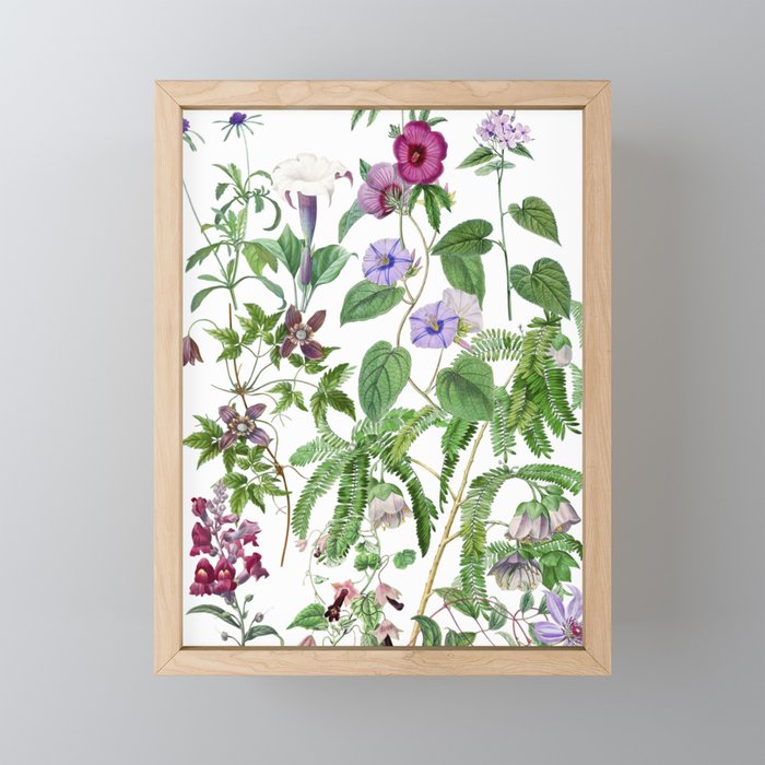 Marvelling In Mauve Botanical Illustration Mini Art Print Gallery Image 1