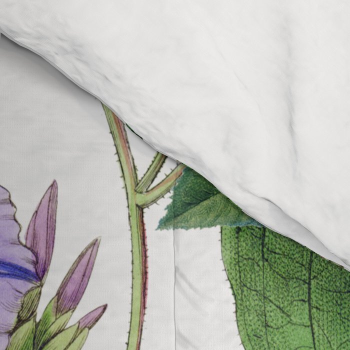 Marvelling In Mauve Botanical Illustration Comforter Gallery Image 4