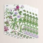 Marvelling In Mauve Botanical Illustration Wrapping Paper Gallery Image 3