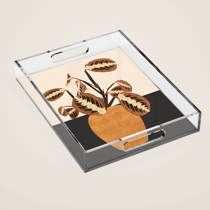 Plant 12 Acrylic Tray Gallery Image 1