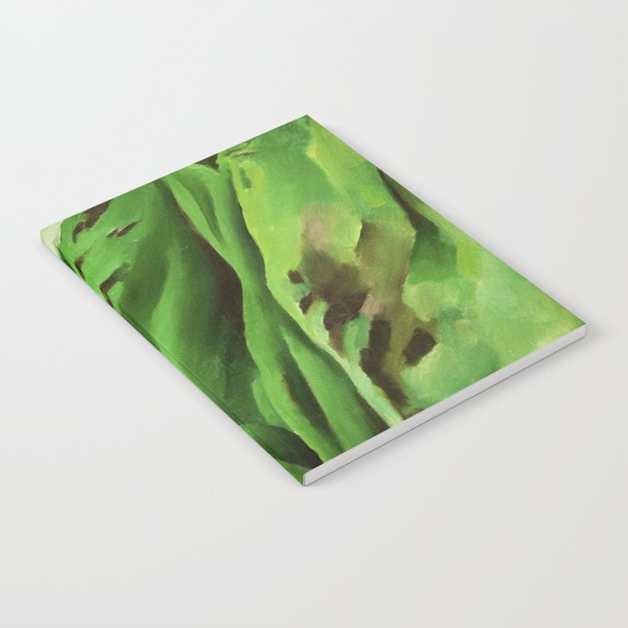 Georgia O'Keeffe Waterfall No. 3 Notebook Gallery Image 1
