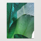 Palm leaf jungle Bali banana palm frond greens Notebook Gallery Image 4