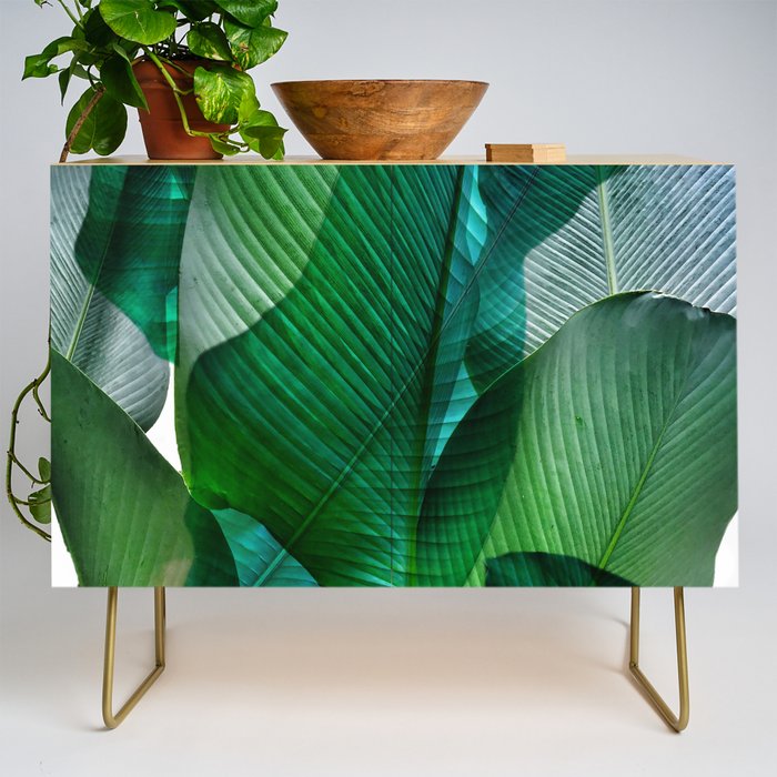 Palm leaf jungle Bali banana palm frond greens Credenza Gallery Image 1