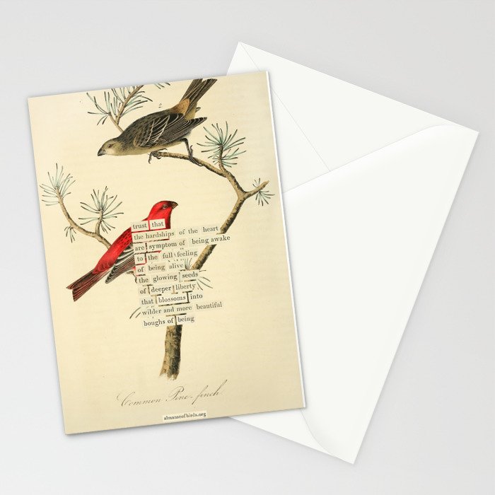 Bird Divinations: Pine Finch (about: almanacofbirds.org) Stationery Card Gallery Image 2