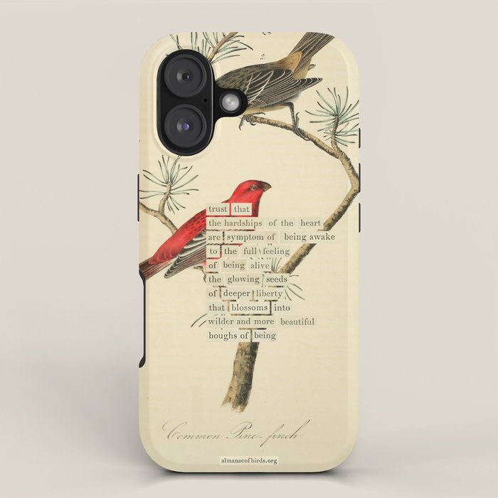 Bird Divinations: Pine Finch (about: almanacofbirds.org) iPhone Case Gallery Image 1