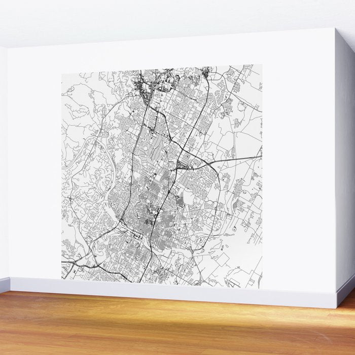 Austin White Map Wall Mural Gallery Image 2