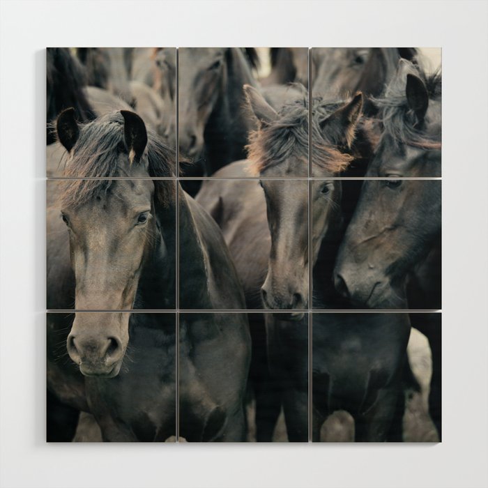 Your Wild Horses - Nature Photography Wood Wall Art Gallery Image 1