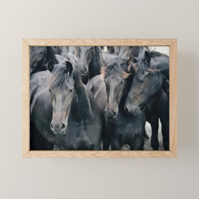 Your Wild Horses - Nature Photography Mini Art Print Gallery Image 1