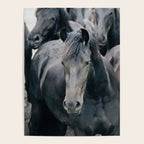 Your Wild Horses - Nature Photography Poster Gallery Image 4