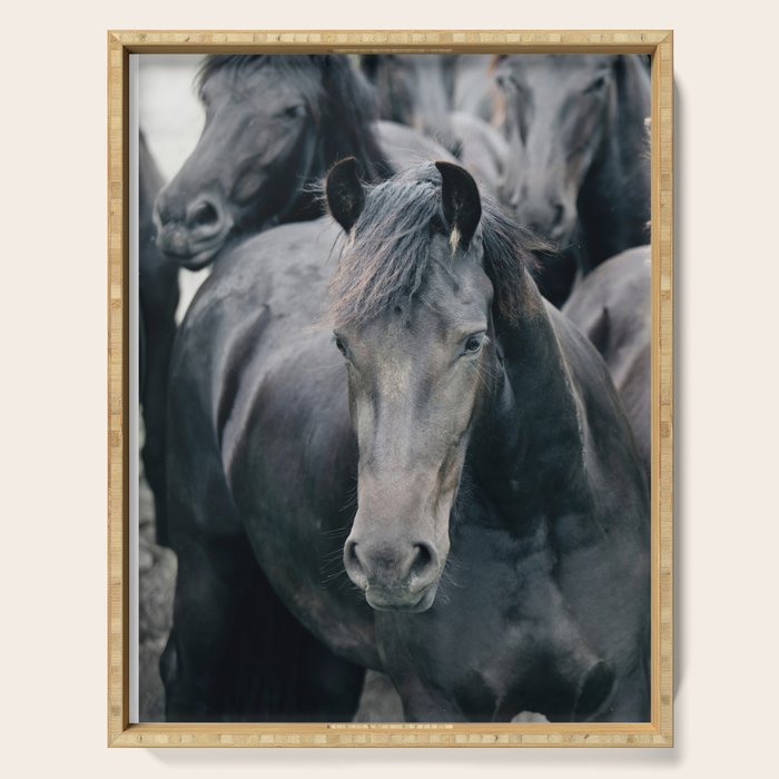 Your Wild Horses - Nature Photography Serving Tray Gallery Image 1
