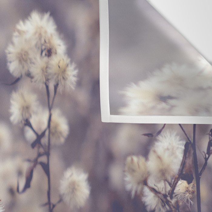 fading autumn - nature wildflower photograph Wall Tapestry Gallery Image 3