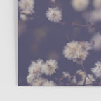 fading autumn - nature wildflower photograph Poster Gallery Image 3