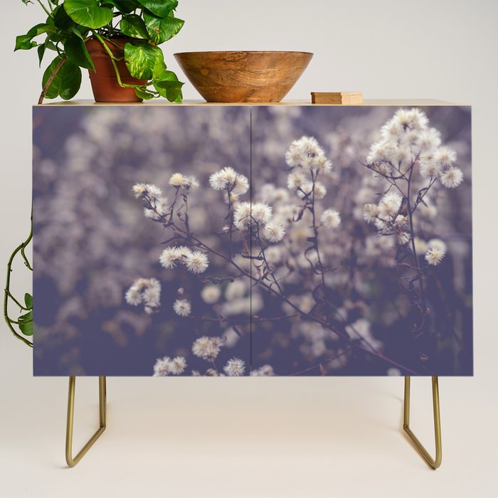 fading autumn - nature wildflower photograph Credenza Gallery Image 1