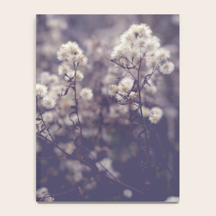 fading autumn - nature wildflower photograph Notebook Gallery Image 4