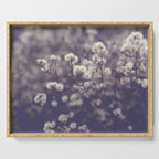 fading autumn - nature wildflower photograph Serving Tray Gallery Image 1
