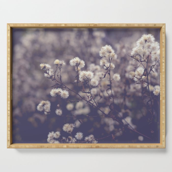 fading autumn - nature wildflower photograph Serving Tray Gallery Image 1