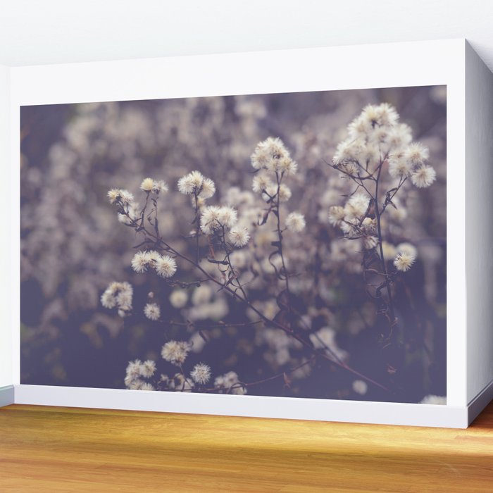 fading autumn - nature wildflower photograph Wall Mural Gallery Image 2