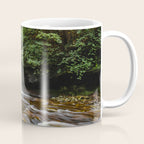 Appalachian Waterfall VII - Ricketts Glen Adventure Coffee Mug Gallery Image 1
