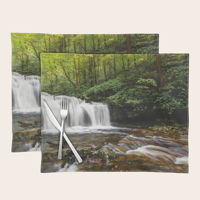 Appalachian Waterfall VII - Ricketts Glen Adventure Placemat Gallery Image 1