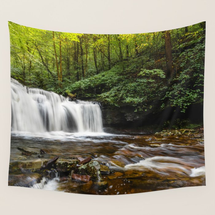 Appalachian Waterfall VII - Ricketts Glen Adventure Wall Tapestry Gallery Image 1