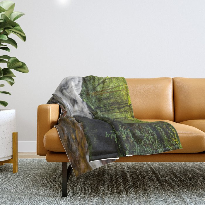 Appalachian Waterfall VII - Ricketts Glen Adventure Throw Blanket Gallery Image 1