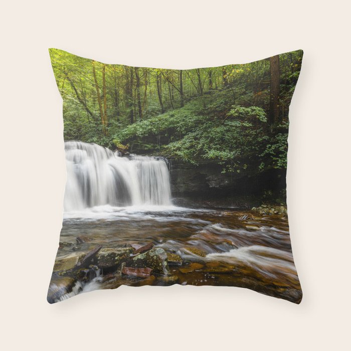 Appalachian Waterfall VII - Ricketts Glen Adventure Throw Pillow Gallery Image 1