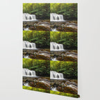 Appalachian Waterfall VII - Ricketts Glen Adventure Wallpaper Gallery Image 2
