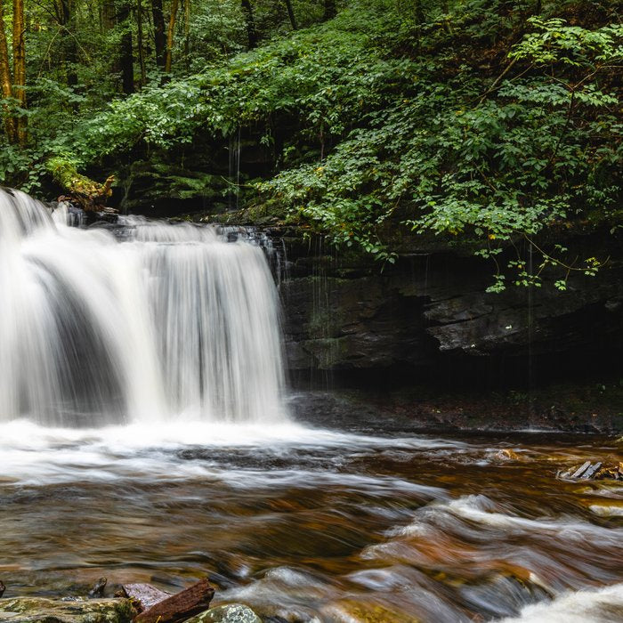 Appalachian Waterfall VII - Ricketts Glen Adventure Coffee Mug Gallery Image 2